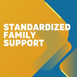 Standardized In-Home Respite Tool Update